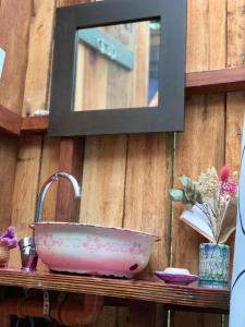 a pink sink and a mirror on a table at El Domo y La Petaca Delta del Tigre in Tigre