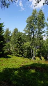 Dabas ainava kempinga tuvumā