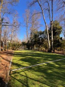 a park with green grass and trees on a sunny day at Macu arriendo Pucón in Pucón +2 photos