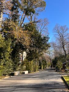 an empty street with trees on the sides of the road at Macu arriendo Pucón in Pucón