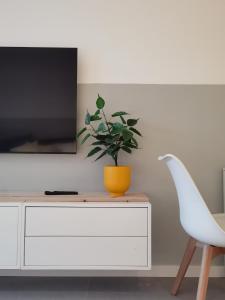 a living room with a tv and a plant on a dresser at Casa Alegria in Oeiras
