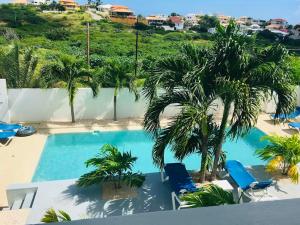 a swimming pool with two chairs and a palm tree at Group Accommodation Jan Thiel Curaçao in Willemstad +4 photos