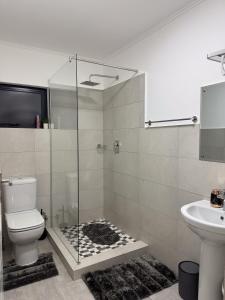 een badkamer met een douche, toilet en wastafel bij LLL Apartments M6 in Khakalashwe