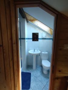 a bathroom with a toilet and a sink at Ośrodek Górskiej Turystyki Jeździeckiej POŁONINY in Żubracze