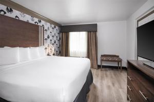 Postel nebo postele na pokoji v ubytování Aiden Austin City Hotel
