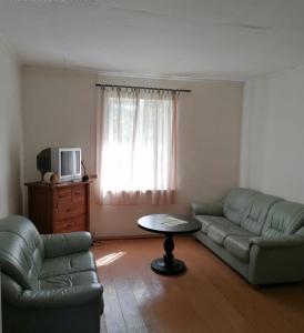 TV a/nebo společenská místnost v ubytování Atpūtas māja Pipars