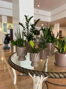 Fotografie z fotogalerie ubytování Caesar Premier Eilat Hotel v destinaci Eilat