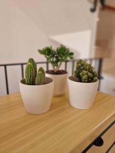 Foto dalla galleria di La Terrazza HOUSE a Lanciano
