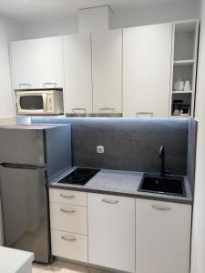 Kuchyň nebo kuchyňský kout v ubytování Villa Noa Mimice