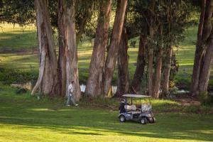 Jardín al aire libre en The Fairways