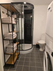 a bathroom with a shower and a toilet at Barnevennlig leilighet nær båthavn og sentrum in Tromsø +6 photos