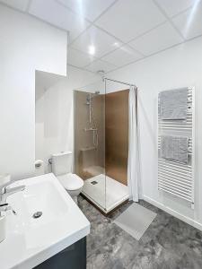 ヴィルフランシュ・ド・ロラゲにあるLa Suite Lauragaise - Studio climatiséのシャワー、トイレ、洗面台を備えたバスルーム