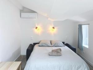 ヴィルフランシュ・ド・ロラゲにあるLa Suite Lauragaise - Studio climatiséの枕が2つ置かれたベッドのある寝室
