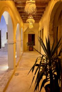 Fotografie z fotogalerie ubytování Wostel Djerba Hostels v destinaci Le Bardo