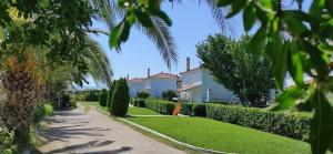 a palm tree lined driveway with houses and trees at Antissa House in Carpe Diem Villas and Houses in Kalloni