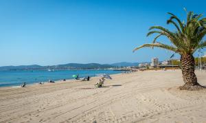 a beach with a palm tree and people on it at Bastidon l'Arc en ciel in Fréjus