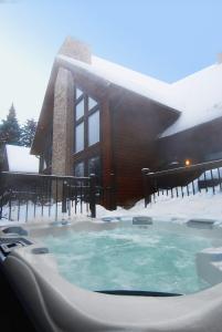 Luxury with hot tub 300mbps Wifi Games & more ! v zimě
