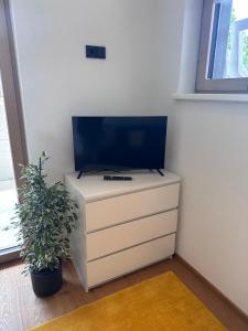 een tv bovenop een dressoir met een plant bij Appartement ALPINOVA by MoniCare in Reith bei Seefeld