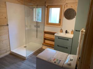 une salle de bain avec douche et lavabo dans l'établissement Le Nine CHALET COSY - NATURE, LAC, MONTAGNES & GOLF, à Giez