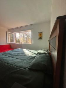 a bedroom with a large bed and a window at Macu arriendo Pucón in Pucón