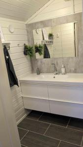 a bathroom with a sink and a mirror at Romslig leilighet sommer og vinter in Tyinkrysset