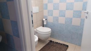 a bathroom with a toilet and blue and white tiles at San Pantaleone Appartamento Salento in Martignano +22 photos