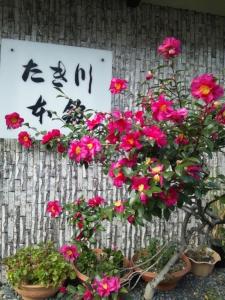 a group of flowers in pots next to a sign at Takigawa Ryokan in Kyoto
