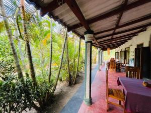 Zahrada ubytování Horizon Resort & Hostel Sigiriya