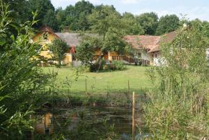 una casa con un estanque delante de ella en Ferienhaus Bioeck, en Mühlgraben