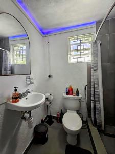 a bathroom with a white toilet and a sink at Sunrise Haven Holiday Apartments Barbados in Christ Church