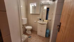 Un baño con inodoro, lavabo y espejo. en Seaside Time Capsule 66, en Novigrad (Dalmacia) 4 fotos más
