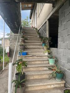 Foto de la galería de Lorenzo Budget Hostel en Tʼelavi
