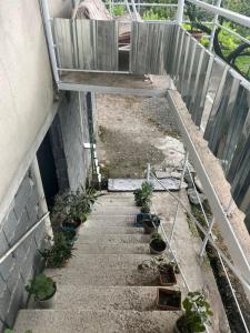Un jardín fuera de Lorenzo Budget Hostel