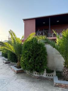 Κήπος έξω από το Kochalidze family