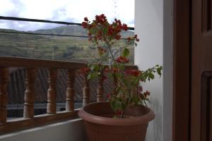 Galeriebild der Unterkunft Hospedaje El Castillo in Nuevo Tingo