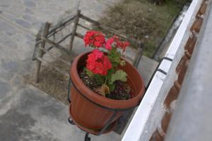 Galeriebild der Unterkunft Hospedaje El Castillo in Nuevo Tingo + 25 Fotos