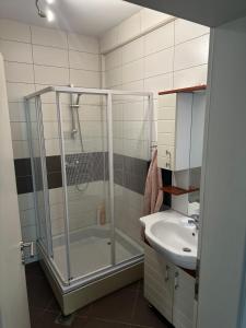 a bathroom with a shower and a sink at Half & Half Apartments in Pristina