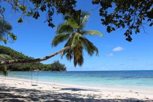 a hammock hanging from a palm tree on a beach at Green Blue Beach House in Baie Lazare Mahé