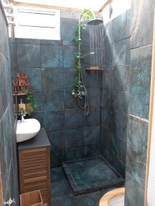 圣保罗Aloes Lagoon Lodge的相册照片