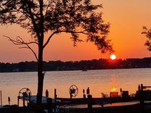 un coucher de soleil sur un lac avec un arbre au premier plan dans l'établissement Charming Walled Lake MI Cottage, à Novi