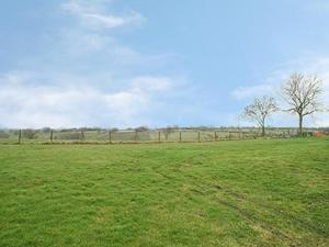um campo de relva verde com duas árvores nele em Orchard Cottage em Westward
