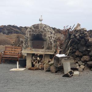 a bird sitting on top of a pile of rubble at Luz del Mar in Orzola