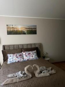 Postel nebo postele na pokoji v ubytování Pie dzintara jūras