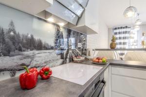 Η κουζίνα ή μικρή κουζίνα στο Krupówki Inn i Studio Miła w Centrum przy Krupówkach APARTZAKOP