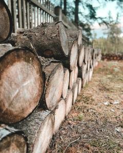 Gallery image of Chata Bella in Psáry