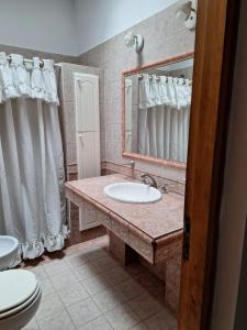 a bathroom with a sink and a toilet and a mirror at Casa centrica en San rafael mendoza in San Rafael