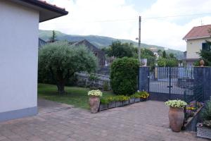 Fotografie z fotogalerie ubytování Scatitti House v destinaci Zafferana Etnea