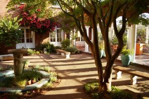 a garden with benches and a tree in front of a building at SF Zen Center Guestrooms in San Francisco