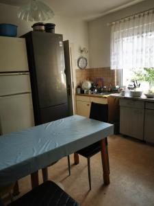 a kitchen with a table and a refrigerator at Ferienwohnung Zimmer in Darmstadt