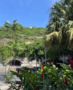 a parking lot with palm trees and a mountain at LEME Casa 11 in Rio de Janeiro
